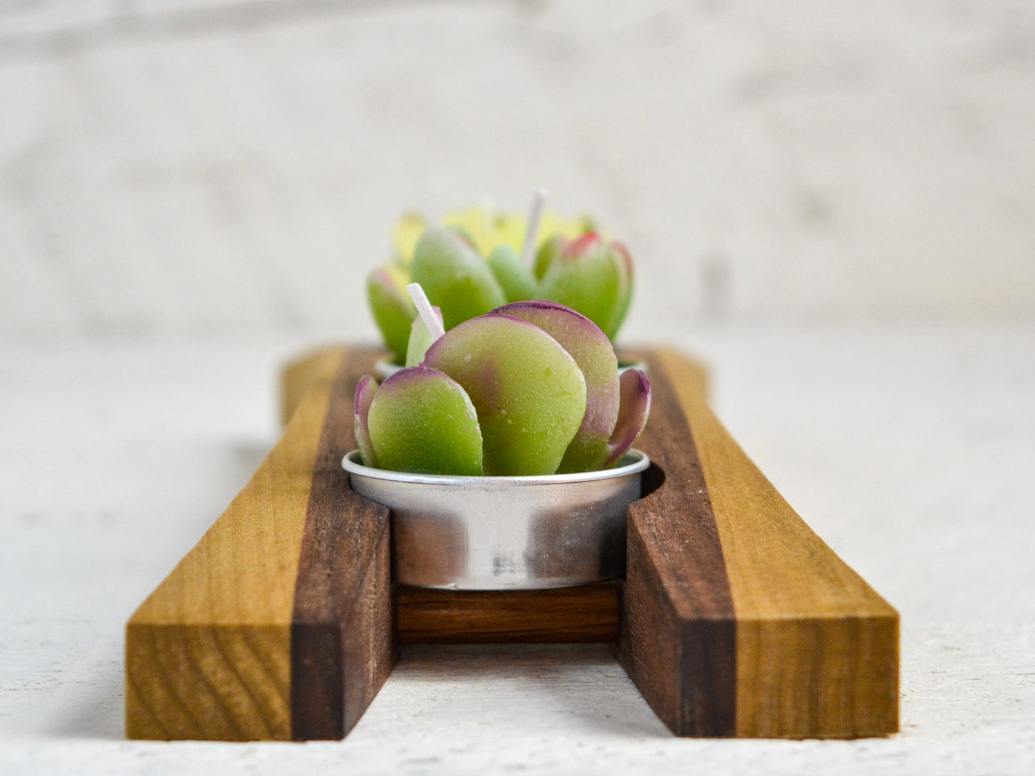 green succulent candles in wood tealight cradle