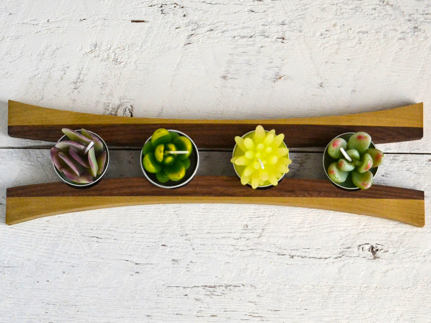 succulent candles in wooden holder